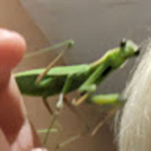 Meet your Posher, Olivia